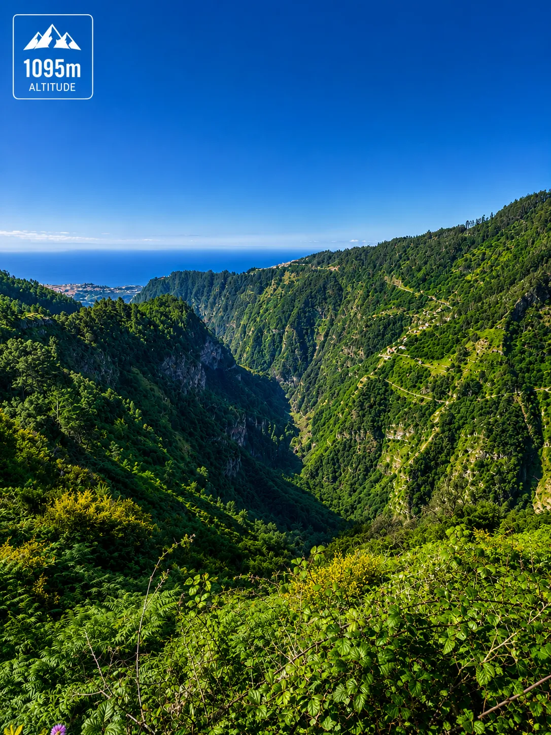 Nuns Valley Tuk Tuk tour in Madeira