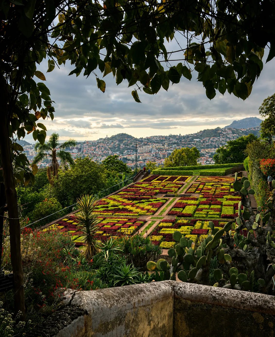 Botanical Gardens Tuk Tuk tour in Madeira